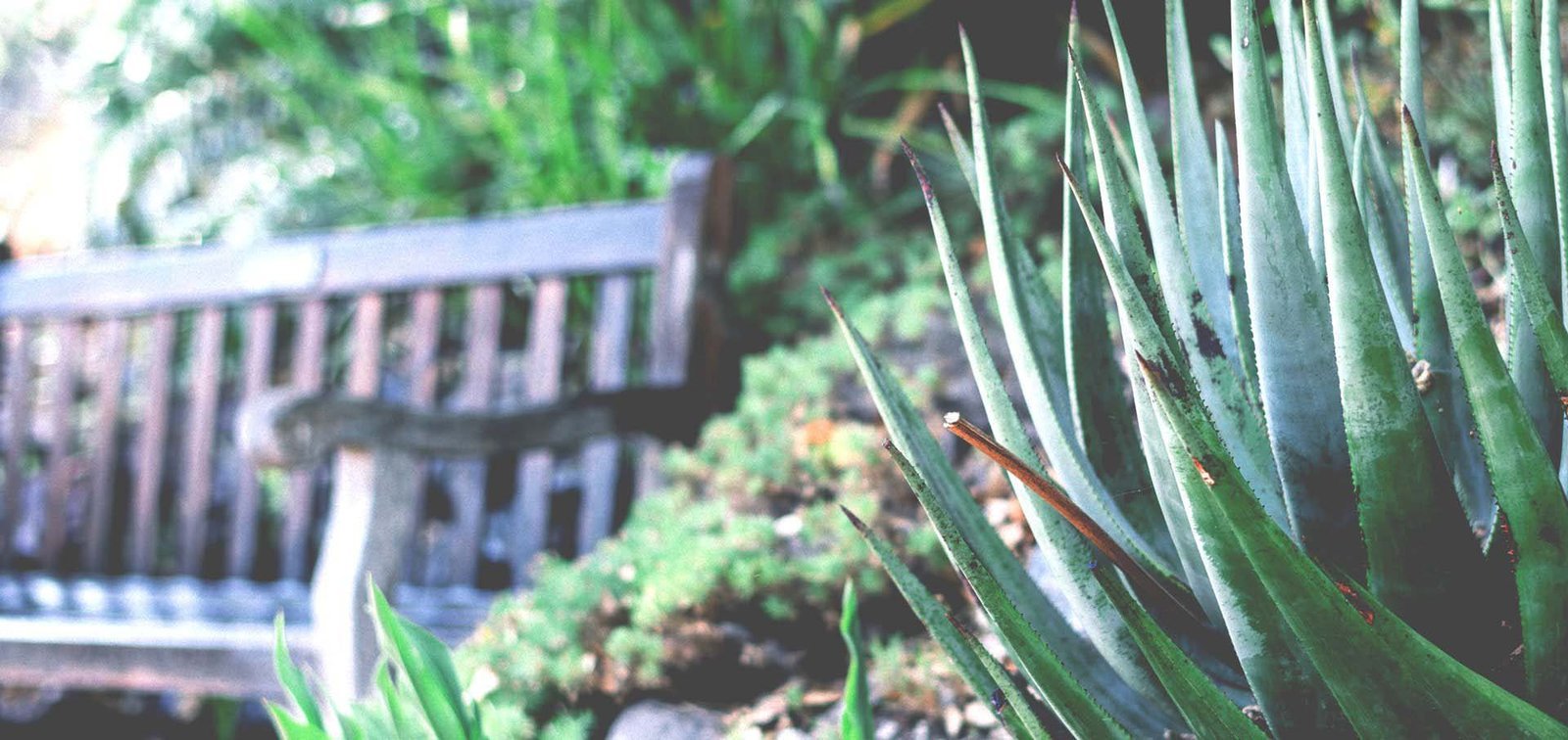 Best ways to light up your garden walkways